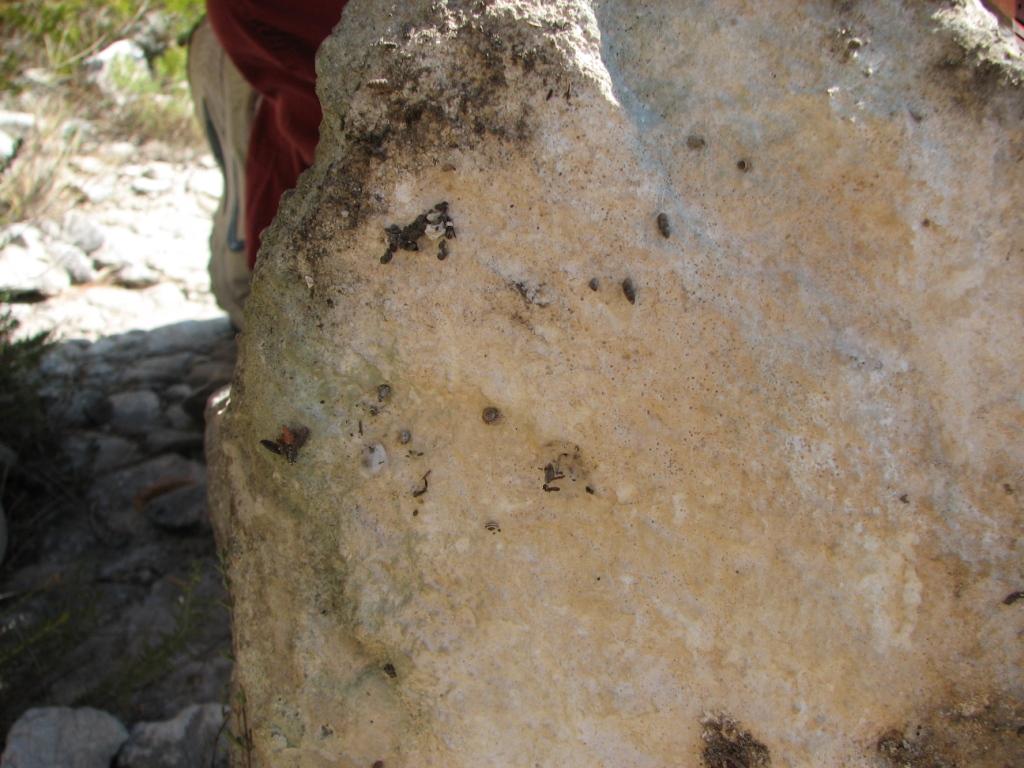 piccola escursione sul Gargano